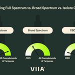 Understanding Full Spectrum vs. Broad Spectrum vs. Isolate CBD Options