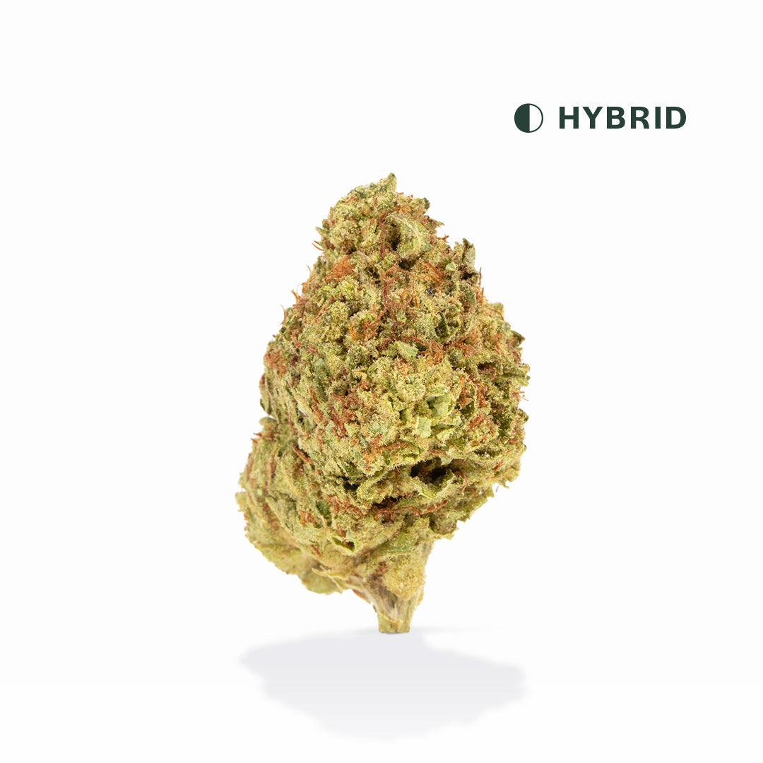 Blue Cherry Gelato: Classic Indoor THCA Flower | VIIA