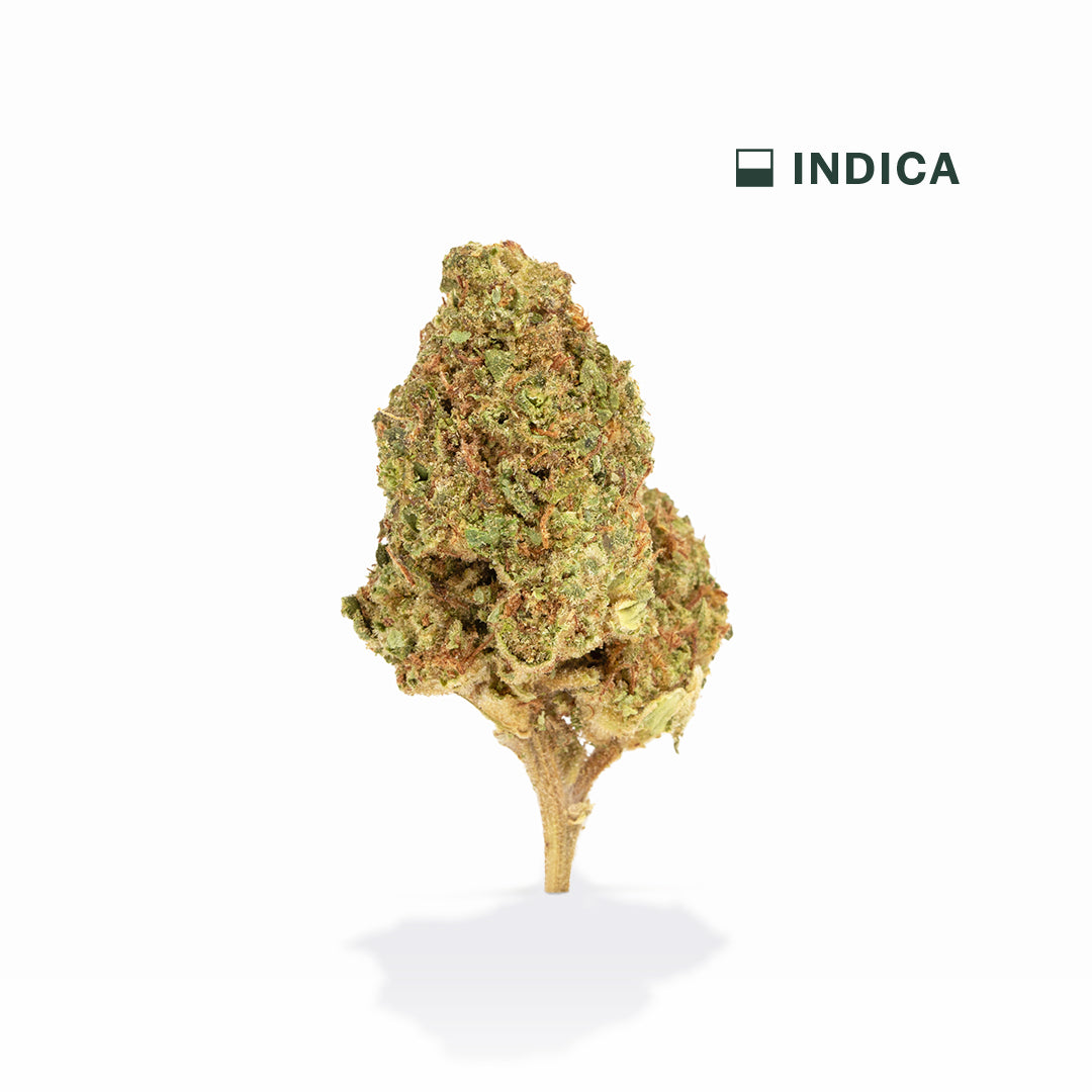 Rainbow Latte THCA Flower (Indica) | VIIA