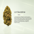 LA Sunshine Classic THCA Flower