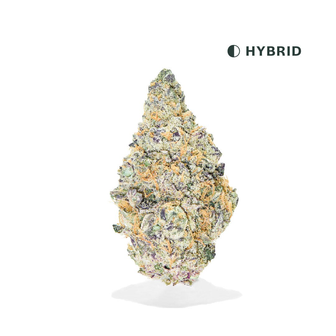 【本物】Formura Energy - Dave Rastovich Herbst, Stewart-Haas Racing Honoring Ken Block at Darlington