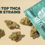 🌿 April’s Top THCA Flower Strains