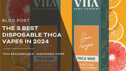 The 3 Best Disposable THCA Vapes in 2024