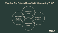 Beginner's Guide To Microdose Gummies