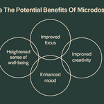 Beginner's Guide To Microdose Gummies