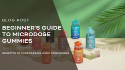 Safety First: Beginner's Guide To Microdose Gummies