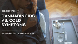 Cannabinoids vs. Cold Symptoms: Potential Benefits and Risks