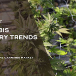 Looking Ahead: 10 Cannabis Industry Trends in 2024