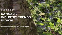 Looking Ahead: 10 Cannabis Industry Trends in 2024