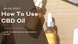 How To Use CBD Oil: Beginner’s Guide