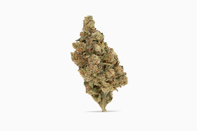 Cereal Milk Strain Guide: Flavor Profile, Potency, And Effects