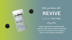 Meet Revive: Our New CBD Gummies for Stress