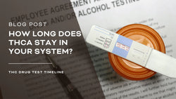 How Long Does THCA Stay In Your System? - Drug Test Timeline