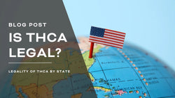 Is THCA Legal? The State By State Legality Of A Promising Cannabinoid