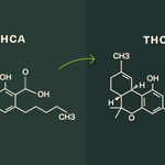 Does THCA Get You High?