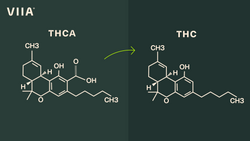 Does THCA Get You High?