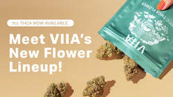 Meet VIIA’s New 1oz THCA Flower Lineup