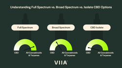 Understanding Full Spectrum vs. Broad Spectrum vs. Isolate CBD Options