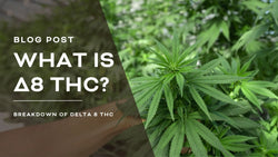 What is Delta 8 THC?  – The Future of the Hemp Industry
