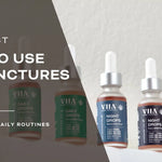 How To Use CBD Tinctures & Ways To Incorporate Tinctures Into Your Daily Routines