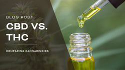 CBD Vs. THC: A Comprehensive Comparison