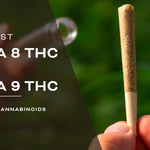 Delta 8 THC vs Delta 9 THC: Understanding the Differences