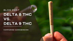 Delta 8 THC vs Delta 9 THC: Understanding the Differences