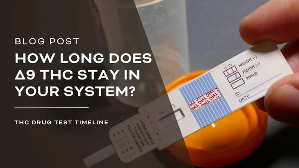 How Long Does Delta-9 THC Stay in Your System? - VIIA