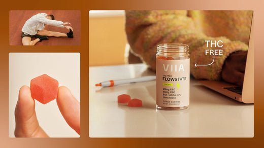 How To Use CBG for Energy and Improving Focus - VIIA