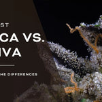 Indica vs. Sativa - What's the Difference?