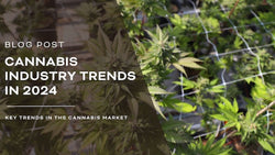 Looking Ahead: 10 Cannabis Industry Trends in 2024