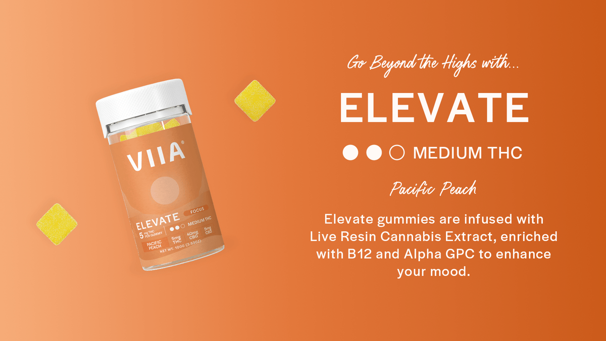 meet-elevate-the-reformulated-