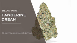 Tangerine Dream Strain Highlight