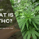 What is Delta 8 THC?  – The Future of the Hemp Industry