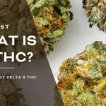 What Is Delta 9 THC?