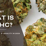 What Is Delta 9 THC? Effects, Safety, & Legality