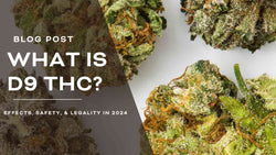 What Is Delta 9 THC? Effects, Safety, & Legality