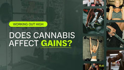 Working Out High: Does Cannabis Affect Gains?