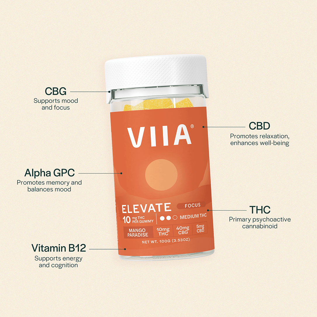 卓上8LINE SEVEN RUSH Dream 10mg THC Gummy Bundle | VIIA