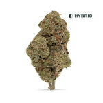 S'mores High THCA Flower