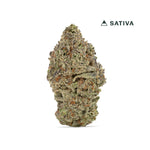 Sweet Tea High THCA Flower