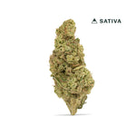 Unicorn Runtz Classic THCA Flower