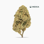 Amaretto Sour Classic THCA Flower