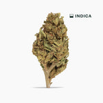 Blueberry Muffin Classic THCA Flower