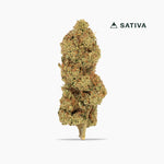 Sour Kush Breath Classic THCA Flower