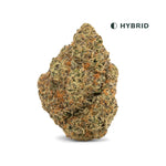 Lilac Diesel THCA Flower