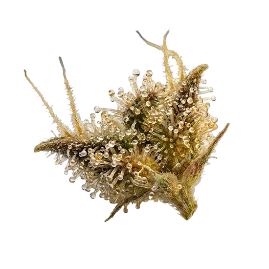 Crafted with clean ingredients