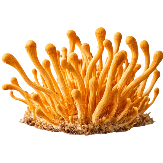 Crafted with clean ingredients