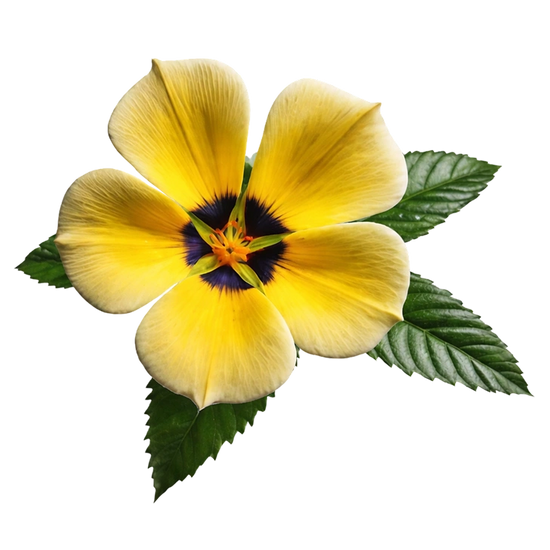 Crafted with clean ingredients