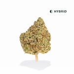 Gelonade High THCA Flower